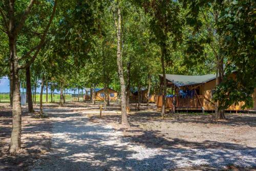 a group of tents in the woods with trees at Agriturismo Tenuta Regina - Glamping luxury lodges and apartments in Palazzolo dello Stella