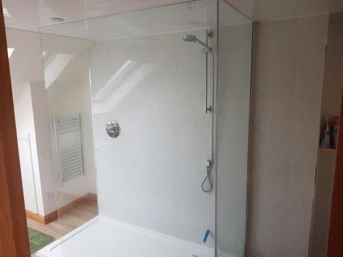 a shower with a glass door in a bathroom at Telford Road Apartment in Inverness