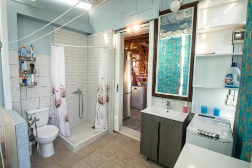 een badkamer met toilet, douche en wastafel bij Villa Matula in Kalamitsi