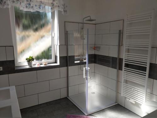a glass shower in a bathroom with a window at Storchennest an der Spree in Radinkendorf in Beeskow
