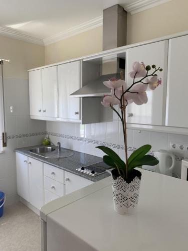 a white kitchen with a vase with a flower on a counter at Santa Barbara Healthcare & Villas in Mariquiteira