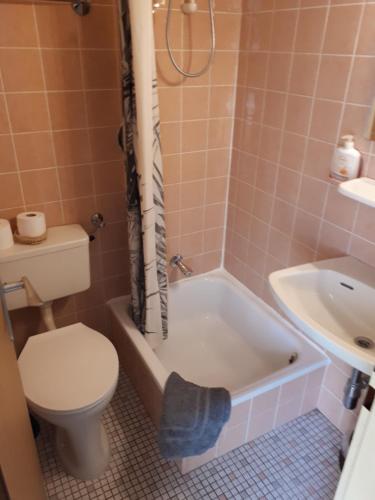 Pension Yak und Yeti في باد هونيف آم راين: حمام مع مرحاض وحوض استحمام ومغسلة