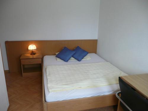 a small bedroom with a bed with blue pillows at Hotel Adelboden in Wikon