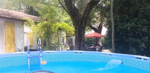 - une piscine avec un parasol rouge et un arbre dans l'établissement maison aux volets jaunes, aux Angles (Gard)