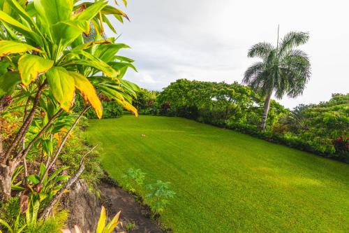 a field of grass with palm trees in the background at Affordable Luxury on One Acre in Kailua-Kona