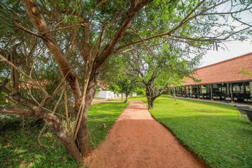 a dirt path in front of a building with trees at Sigiriya Jungles in Sigiriya