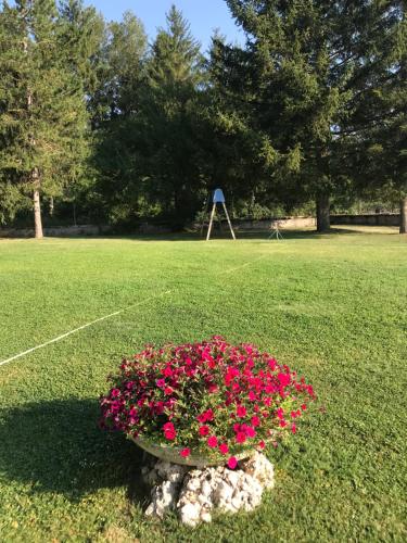 a flower pot with pink flowers in a park at Chalet dell'Orso in Pescasseroli