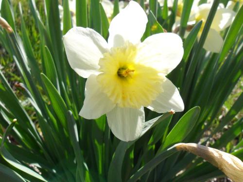 Gallery image of Agriturismo Il Poggiolo in Spoleto