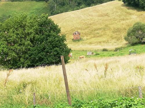 Příroda nedaleko prázdninového domu