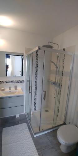 y baño con ducha, aseo y lavamanos. en CHAMBRE AVEC SUITE DE 26 M2, en Saint-Planchers