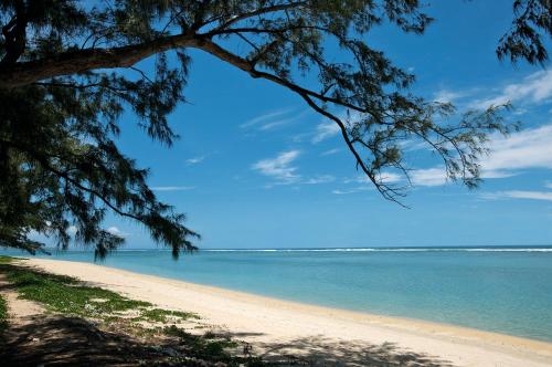 a beach with a tree and the ocean at Hotel Le Recif, Ile de la Reunion in Saint-Gilles les Bains