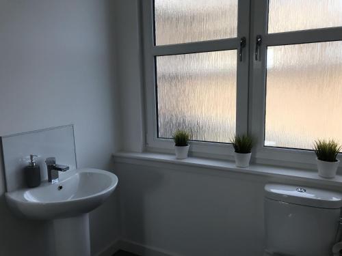 łazienka z umywalką, toaletą i oknem w obiekcie Carvetii - Edward House C - 2 Dbl bed 2nd floor flat w mieście Dunfermline