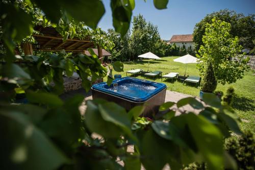 a blue tub in a yard with tables and umbrellas at Villa Venus in Deva