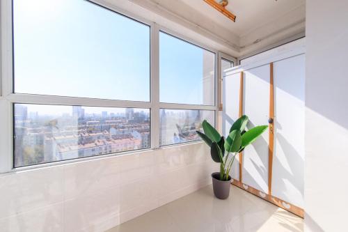 a room with large windows and a potted plant at Baoding Lianchi·North China Electric Power University· in Baoding