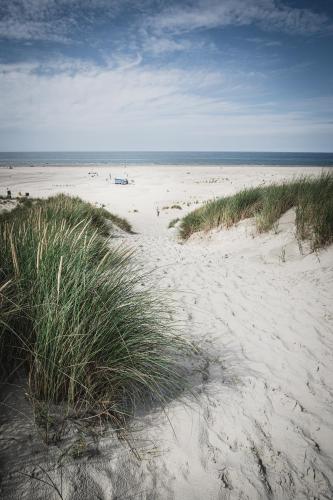a sandy beach with grass and people on the beach at Winkelschiffchen II mit Sauna in Juist