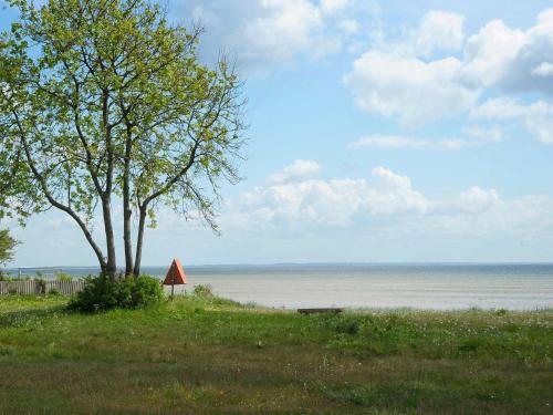 un albero e una panchina vicino all'oceano di 6 person holiday home in Bjert a Sønder Bjert