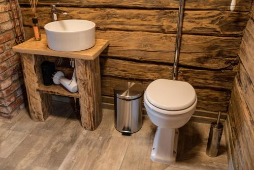 a bathroom with a white toilet and a sink at Viesu nams Melnsils in Melnsils