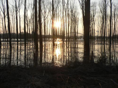 a sun setting over a body of water with trees at Casa Tranquila in Ooij