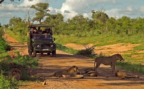 a group of people in a vehicle on a dirt road at Mjejane River Lodge in Hectorspruit