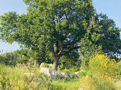 Φυσικό τοπίο κοντά σε αυτό το διαμέρισμα