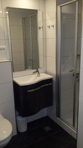 een badkamer met een wastafel, een douche en een toilet bij Seaside Appartement 458 Vier Jahreszeiten in Hahnenklee-Bockswiese