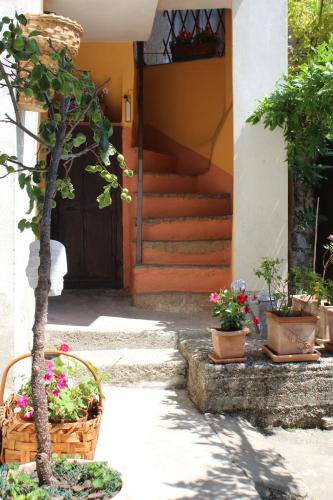 Κήπος έξω από το Casa Marconi Casa Vacanze