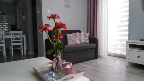 Χώρος καθιστικού στο Apartament Antek klimatyzowany