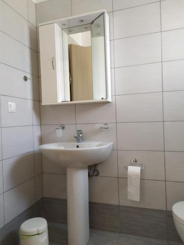 ein Badezimmer mit einem Waschbecken, einem Spiegel und einem WC in der Unterkunft Makinia Beach in Nafpaktos