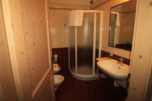 a bathroom with a shower and a sink and a toilet at Maso Margherita in Commezzadura