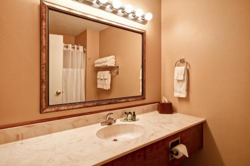 uma casa de banho com um lavatório e um espelho grande em GrandStay Hotel & Suites La Crosse em La Crosse