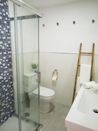 a bathroom with a toilet and a glass shower at ATICO VIEW NATURE CORRALEJO in Corralejo