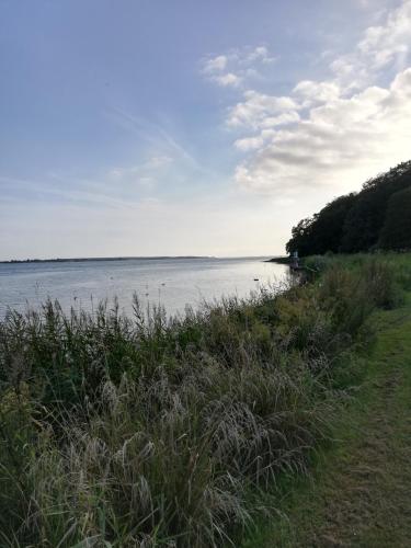 a view of a body of water with trees and grass at Tankefuld Living's Horsefarm in Svendborg