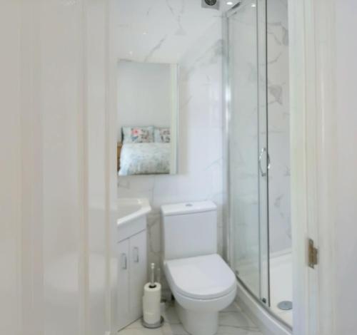 La salle de bains blanche est pourvue d'une douche et de toilettes. dans l'établissement Spacious 2-bed apartment in central Kingston near Richmond Park, à Kingston upon Thames