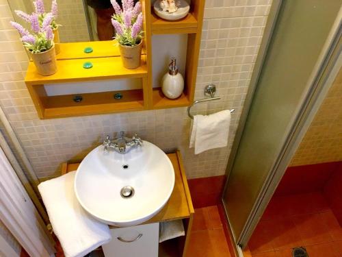 アテネにあるA2 Cute Vouliagmeni Apt in a Unique Spotの洗面台とシャワー付きのバスルーム