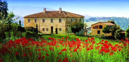 Casali di Casole - Timbers Tuscany