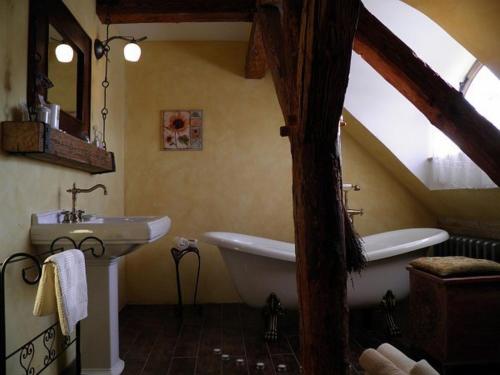 a bathroom with a sink and a bath tub at Dvůr Olšiny -Hotel and Horse-riding in Karviná