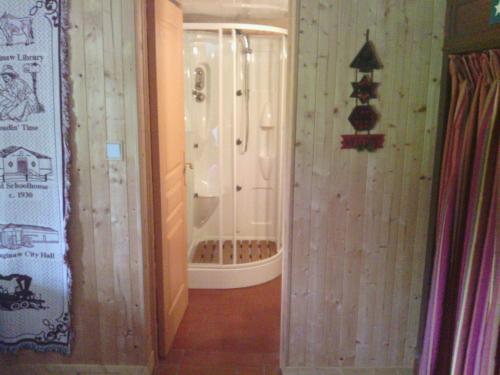 La salle de bains est pourvue d'une douche et d'une douche à l'italienne. dans l'établissement Manoir du Val Harangt, à Mardilly