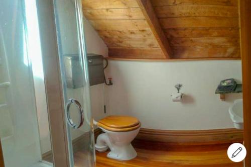 ein Badezimmer mit einem WC und einer Holzdecke in der Unterkunft Gate Keepers Cottage in Akaroa