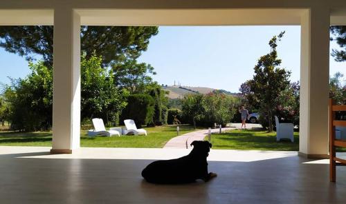 Gallery image of Pizzacalla in Pineto