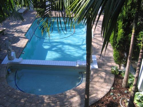 a swimming pool with a palm tree next to it at St. Lucia Wetlands Guest House in St Lucia
