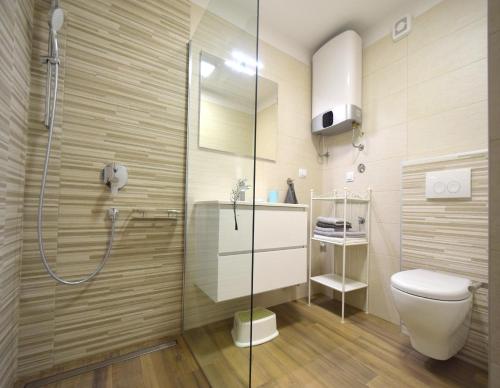 齊基奇的住宿－Apartments Medna，一间带卫生间和玻璃淋浴间的浴室