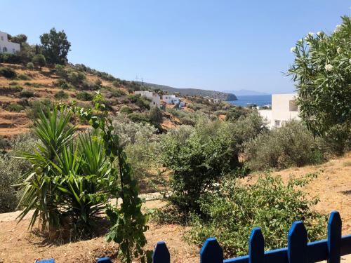 a view of a hill with bushes and trees at Villa Costa Studios in Vathi, Sifnos