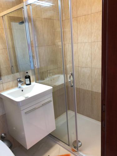 een badkamer met een douche en een wastafel bij Villa Maja in Njivice