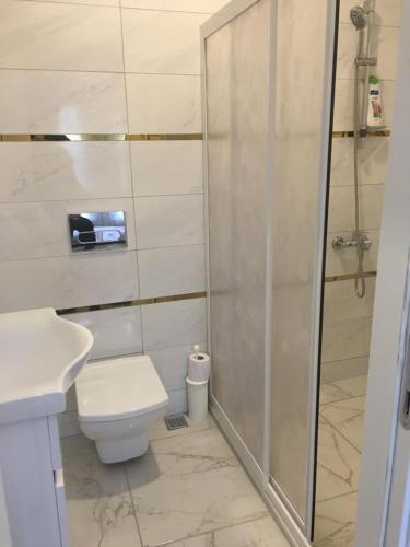 a bathroom with a shower and a toilet and a sink at PASHA APART~BOUTİQUE HOTEL/YALOVA in Yalova