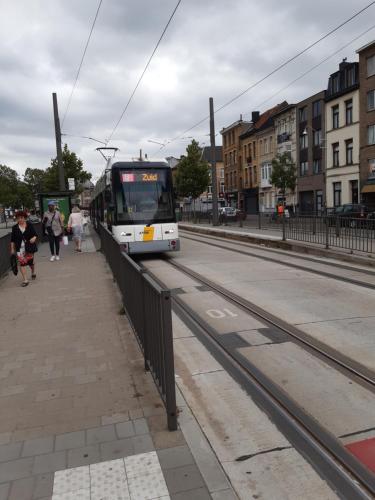 a bus is parked on the side of a street at Casa ENRICO in Antwerp