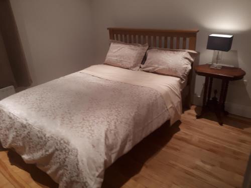 um quarto com uma cama e uma mesa de cabeceira com um candeeiro em Luxurious Penthouse Apartment 1 , City Centre em Kilkenny