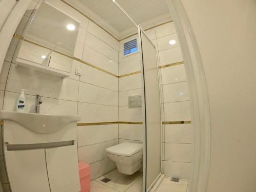 uma casa de banho com um WC e um lavatório em PASHA APART~BOUTİQUE HOTEL/YALOVA em Yalova