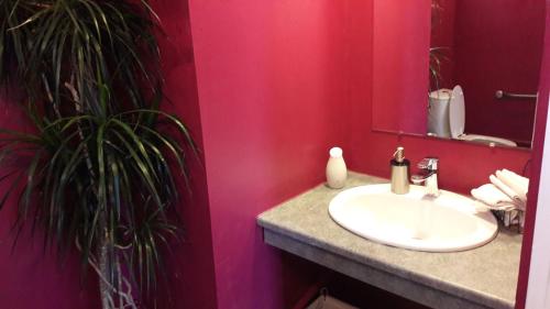 HOTEL HOSTELLERIE DES VOYAGEURS في Bonson: حمام مع حوض وجدار وردي