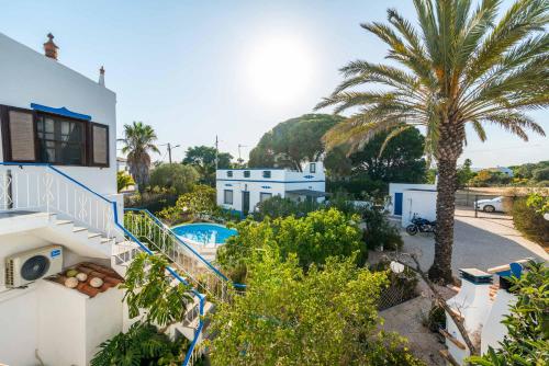 a house with a palm tree and a swimming pool at Casas Algarvias in Arroteia de Baixo