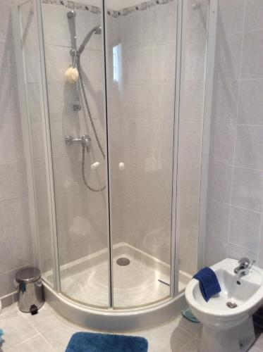 une salle de bain avec une douche, des toilettes et un lavabo dans l'établissement Gite de Pete, à Le Buisson